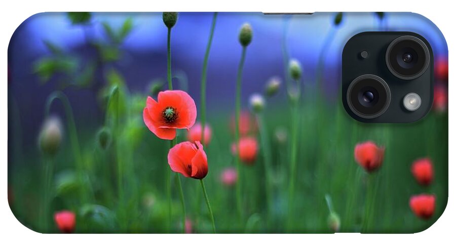 Tottori Prefecture iPhone Case featuring the photograph In Japanese Rice Fields Poppies Blow by Marvin Fox