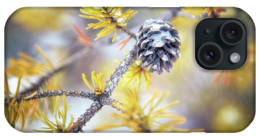 Pine Tree iPhone Case featuring the photograph In the Pines by Becqi Sherman