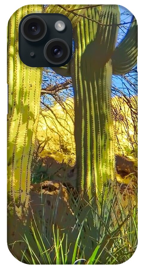 Arboretum iPhone Case featuring the photograph In the Shadow of Saguaros by Judy Kennedy