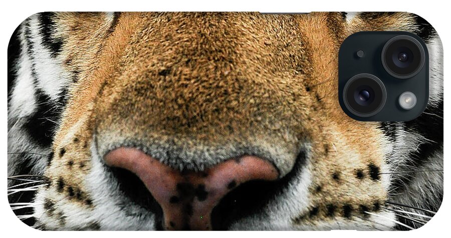 Tiger iPhone Case featuring the photograph In Your Face Tiger by Ginger Stein