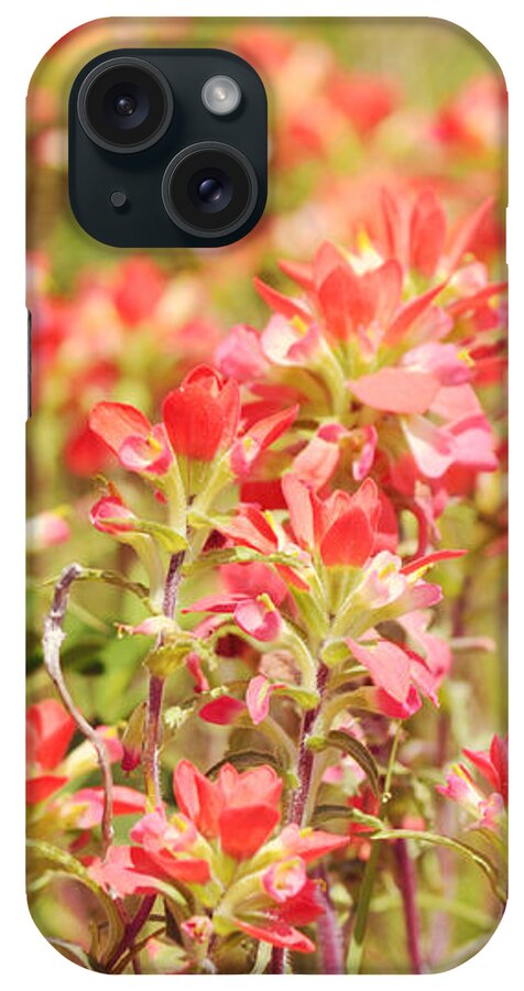 Wild iPhone Case featuring the photograph Indian Paintbrush Wild Flowers by Gaby Ethington