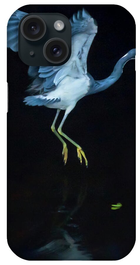 Bird iPhone Case featuring the photograph Into The Dark 0346 by Ginger Stein