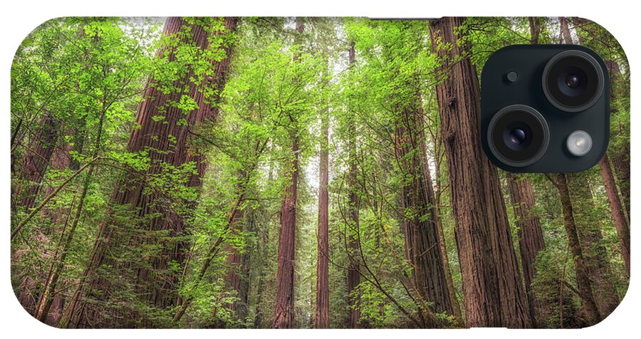 Into The Redwoods iPhone Case featuring the photograph Into The Redwoods by Joseph S Giacalone