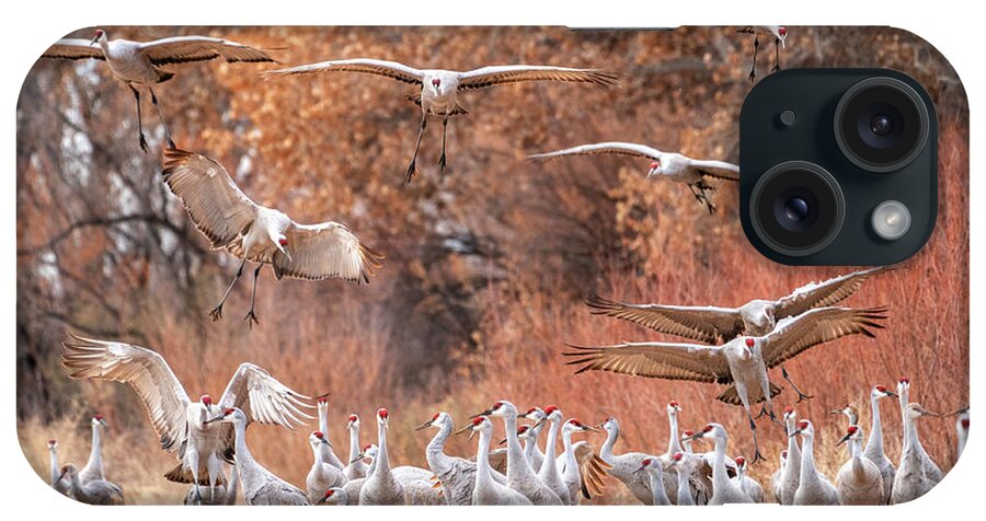 Sandhill Cranes iPhone Case featuring the photograph Invasion of the Cranes by Judi Dressler