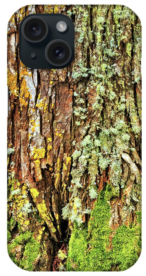 Art iPhone Case featuring the photograph Island Moss by JAMART Photography