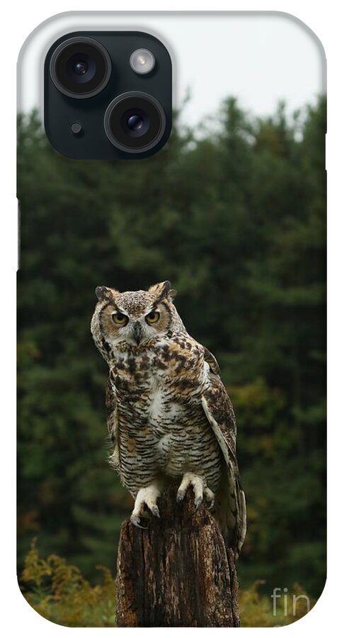 Owls iPhone Case featuring the photograph It's all about the attitude by Heather King