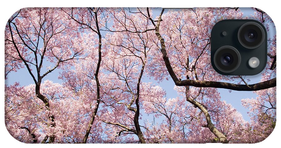 Viewpoint iPhone Case featuring the photograph Japan, Nagano, Cherry Tree Blossoming by Akira Kaede