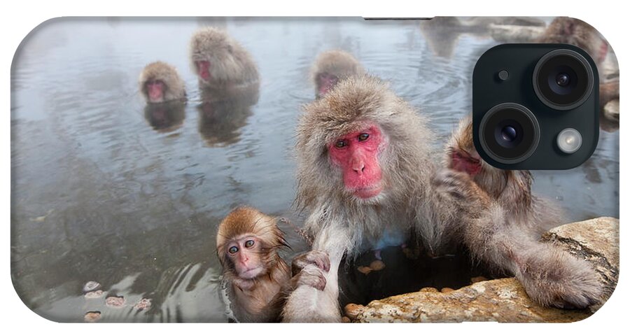 Animals In The Wild iPhone Case featuring the photograph Japanese Macaque Snow Monkeys In Hot by Peter Adams