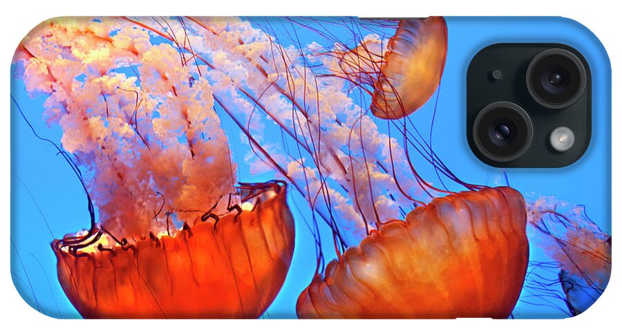 Underwater iPhone Case featuring the photograph Jelly Fish by Jill Buschlen