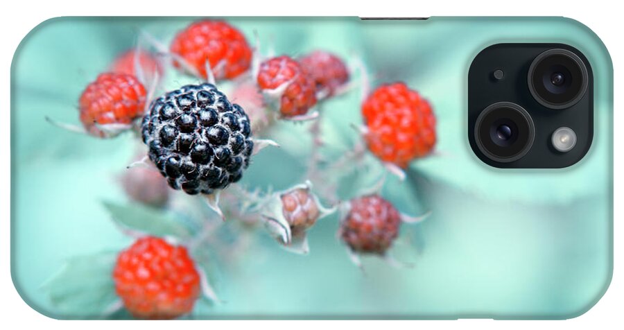 Food iPhone Case featuring the photograph Juicy Berries by Christina Rollo
