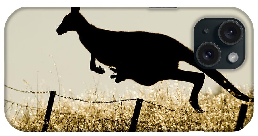 Sebastian Kennerknecht iPhone Case featuring the photograph Kangaroo With Joey Hopping The Fence by Sebastian Kennerknecht