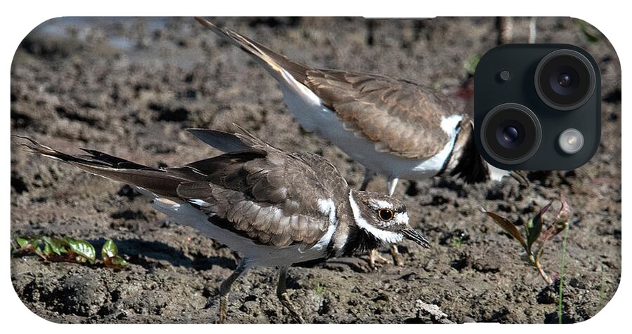 Nature iPhone Case featuring the photograph Killdeer DMSB0190 by Gerry Gantt