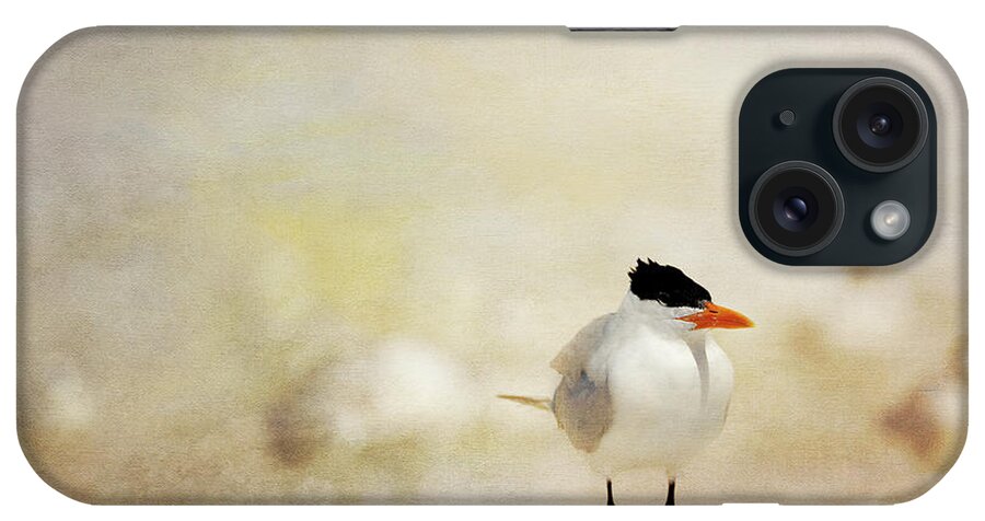 Royal Tern iPhone Case featuring the photograph King of the Sand Pile by Beve Brown-Clark Photography