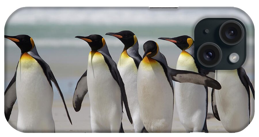 Animal Themes iPhone Case featuring the photograph King Penguins Strolling On Beach by Richard Mcmanus