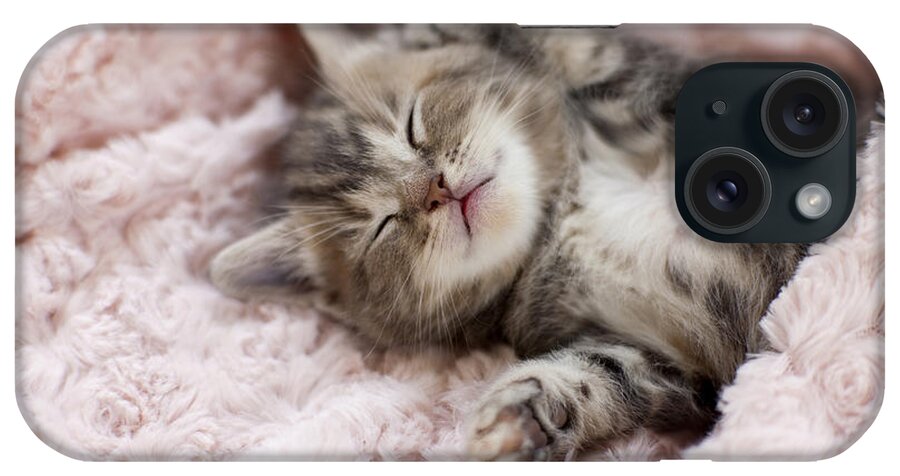 Pets iPhone Case featuring the photograph Kitten Sleeping On Towel by C.o.t/a.collectionrf