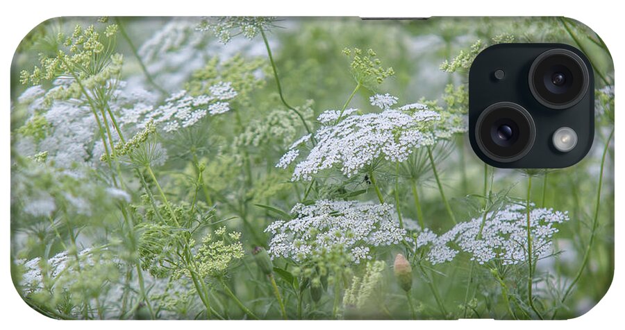 Jenny Rainbow Fine Art Photography iPhone Case featuring the photograph Lacy White Green Blooms of Summer Meadows 2 by Jenny Rainbow
