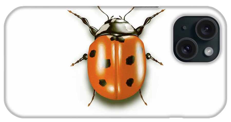Orange Color iPhone Case featuring the photograph Ladybug On White Background by Artpartner-images