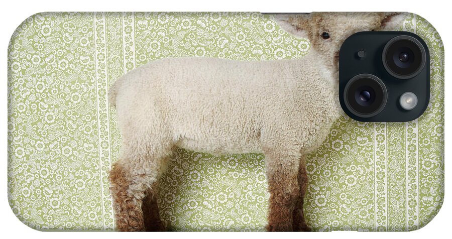 Animal Themes iPhone Case featuring the photograph Lamb Standing Indoors, And Floral by Digital Vision.