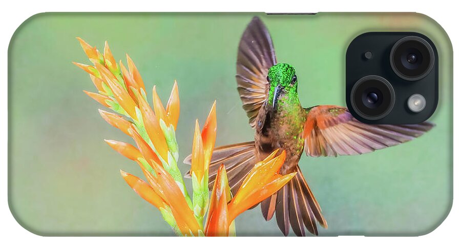 Cory iPhone Case featuring the photograph Landing by Tom and Pat Cory