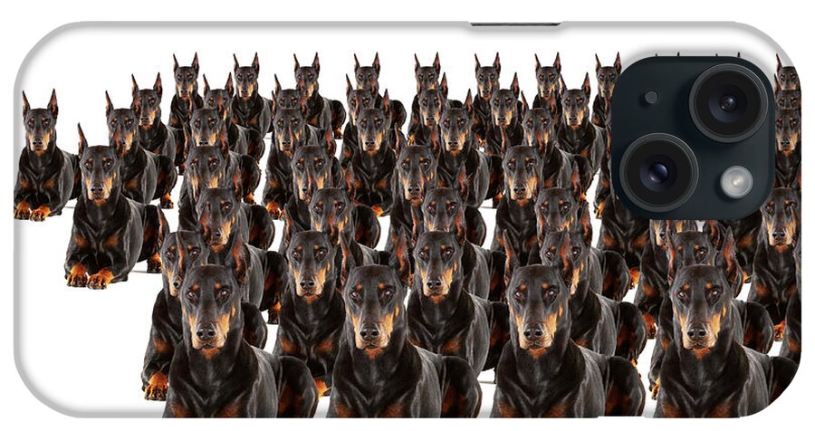 Pets iPhone Case featuring the photograph Large Group Of Dobermans On White by Thomas Northcut