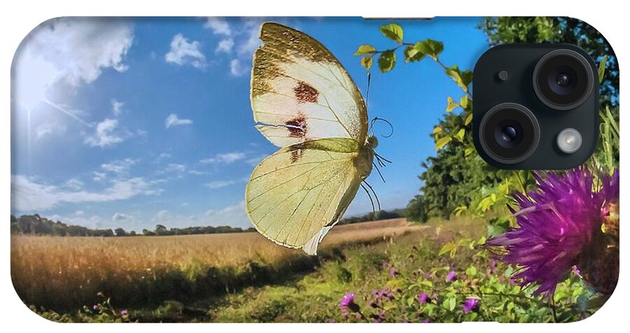 Large White iPhone Case featuring the photograph Large White Butterfly by Dr. John Brackenbury/science Photo Library