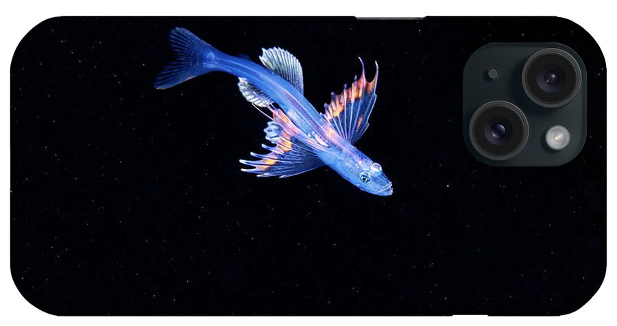 Animal iPhone Case featuring the photograph Larval Stage Of A Fish by Alexander Semenov/science Photo Library