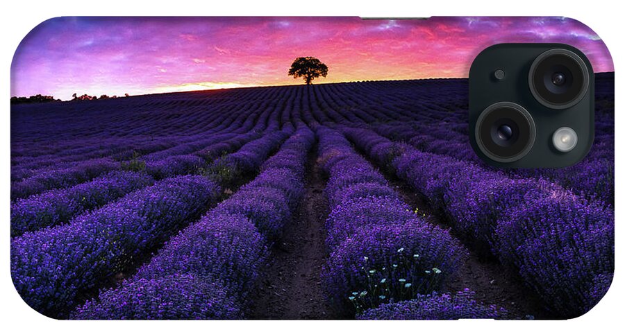 Afterglow iPhone Case featuring the photograph Lavender Dreams by Evgeni Dinev