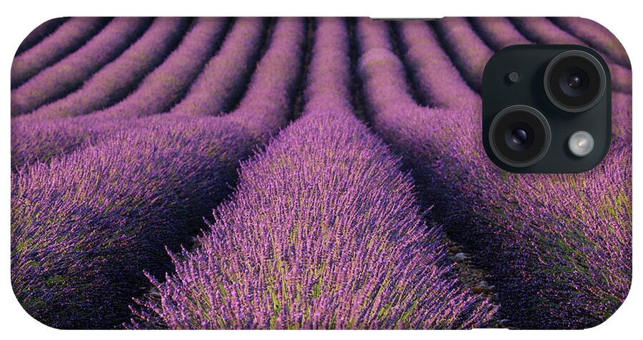 In A Row iPhone Case featuring the photograph Lavender Field by Martin Ruegner