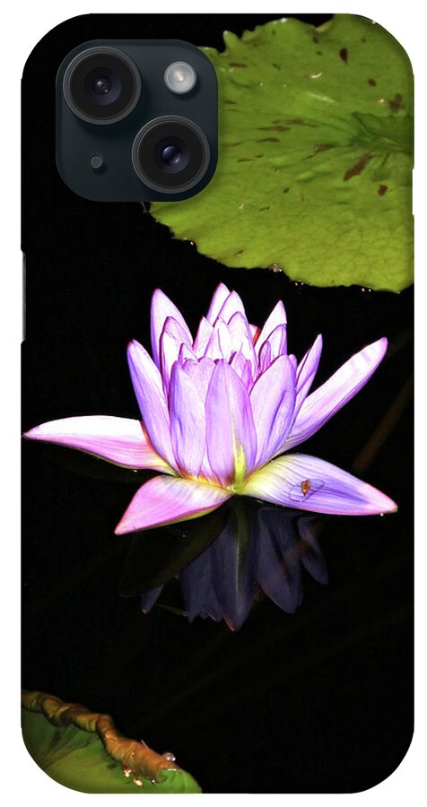 Water Lily iPhone Case featuring the photograph Lavender Water Lily with Reflection by Trina Ansel