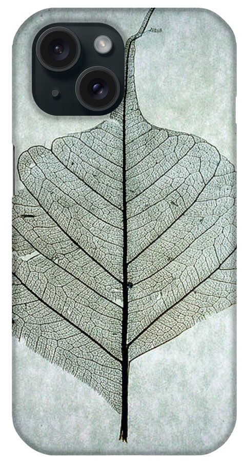 Leaf iPhone Case featuring the photograph Leaf Series One of Three by Christopher Johnson