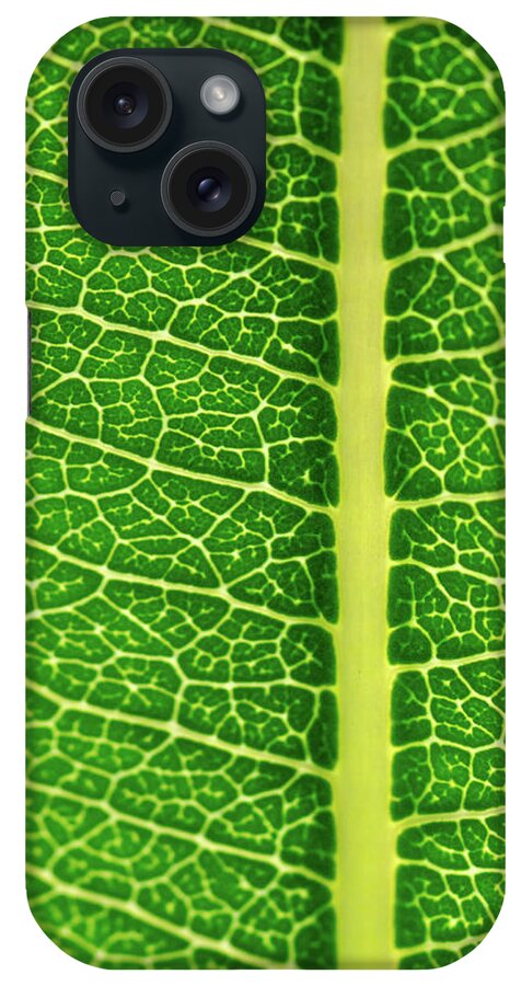 Green iPhone Case featuring the photograph Leaf Veins by Jeff Phillippi