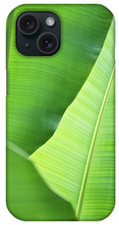 Outdoors iPhone Case featuring the photograph Leaves Of Banana Plant by Elisabeth Schmitt