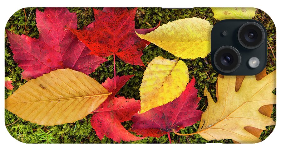 Leaves On Moss iPhone Case featuring the photograph Leaves On Moss by Michael Blanchette Photography