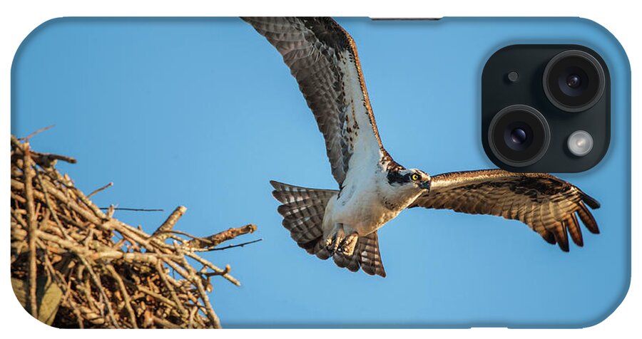 Nature iPhone Case featuring the photograph Leaving The Nest by Cathy Kovarik