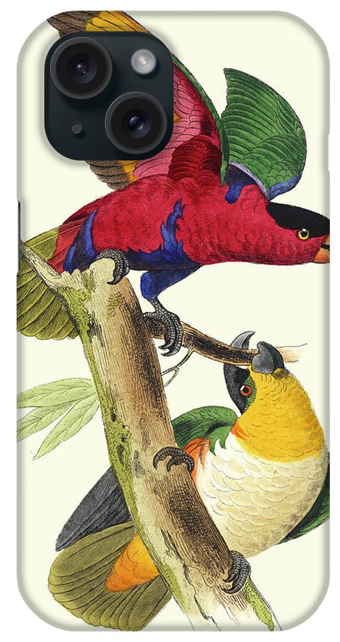 Animals & Nature iPhone Case featuring the painting Lemaire Parrots I by C.l. Lemaire