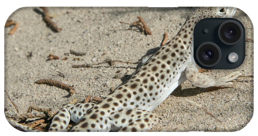 Lizard iPhone Case featuring the photograph Leopard Lizard by Kent Keller