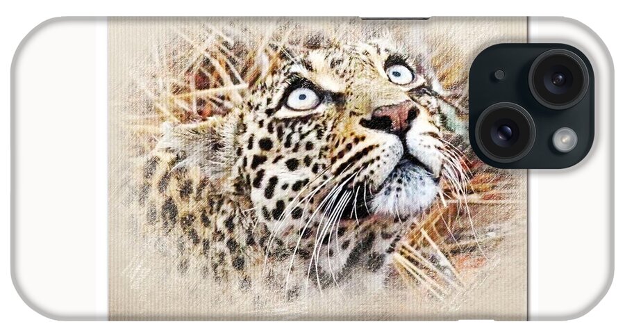 Leopard iPhone Case featuring the photograph Leopard Looking Up by Gini Moore