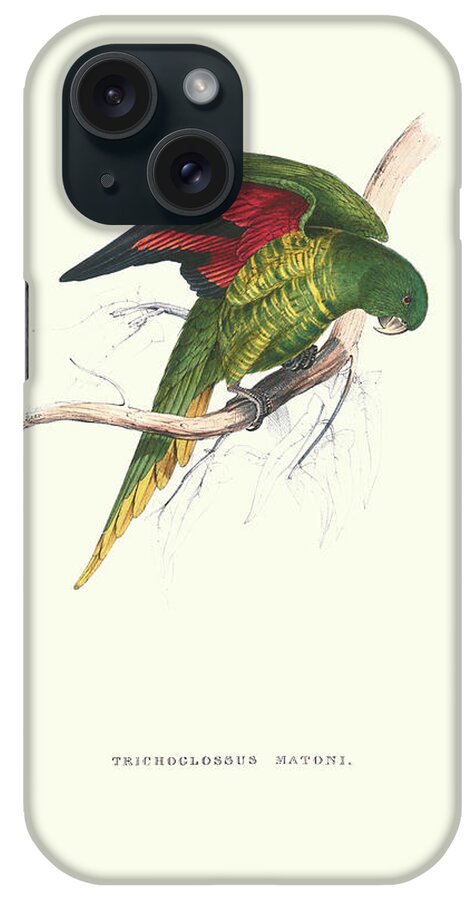 Parrots iPhone Case featuring the painting Lesser Maton's Parakeet -Trichoglossus Haematodus by Edward Lear