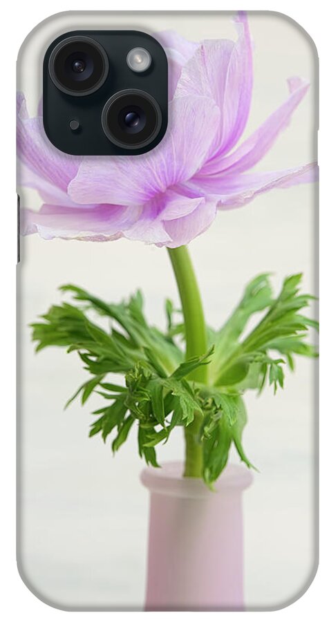 Lilac Anemone iPhone Case featuring the photograph Lilac Anemone by Cora Niele
