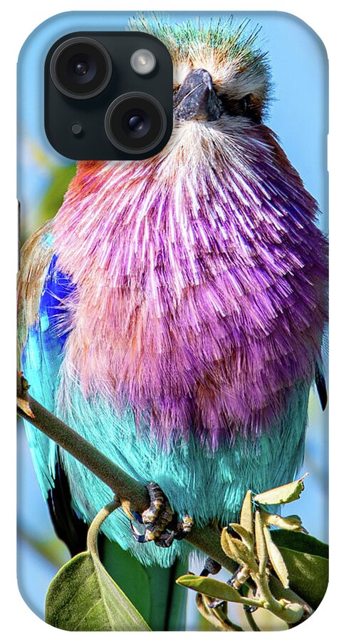 iPhone Case featuring the photograph Lilac Breasted Roller of Africa by Marcy Wielfaert
