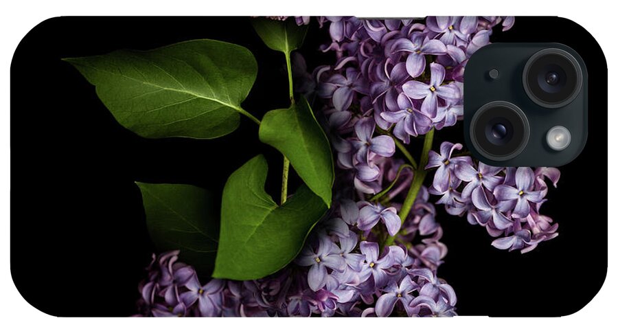 Flowerbed iPhone Case featuring the photograph Lilac Isolated On Black Background by Sankai