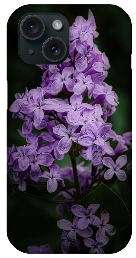 Lilac iPhone Case featuring the photograph Lilacs for Annie by Ernest Echols