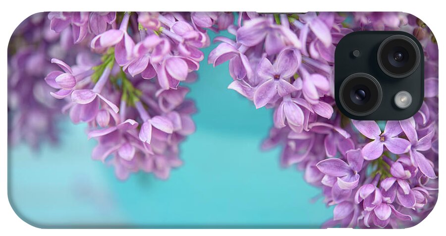 Lilacs In Blue Vase V iPhone Case featuring the photograph Lilacs In Blue Vase V by Cora Niele