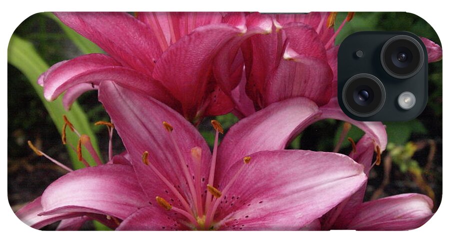 Lily iPhone Case featuring the photograph Lilixplosion 5 by Jeffrey Peterson