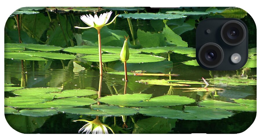 Lily iPhone Case featuring the photograph Lily in the Light of Morning by John Lautermilch