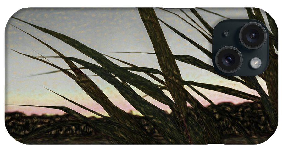 Liquid Pencil Drawing Giant Reeds After Sunset iPhone Case featuring the photograph Liquid Pencil Drawing Giant Reeds After Sunset by Anthony Paladino