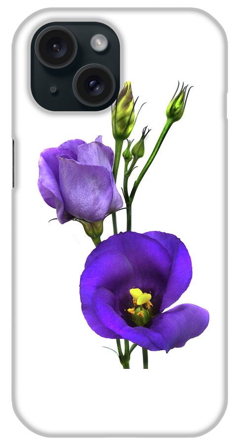 Lisianthus iPhone Case featuring the photograph Lisianthus Russellianum by Terence Davis