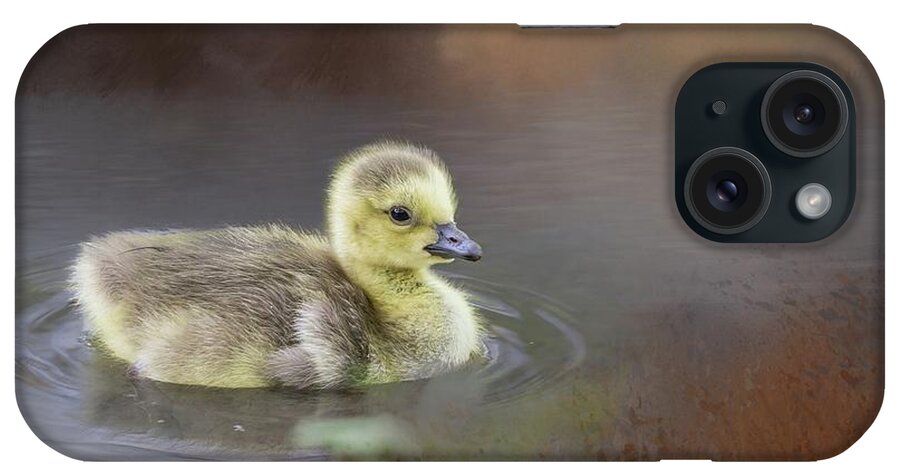 Canada Goose iPhone Case featuring the photograph Little Swimmer by Eva Lechner