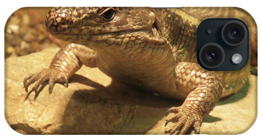 Lizard iPhone Case featuring the photograph Lizard by Mary Mikawoz