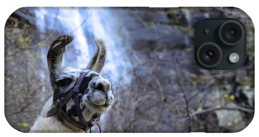 Llama iPhone Case featuring the photograph Llama Waterfall by Buddy Morrison